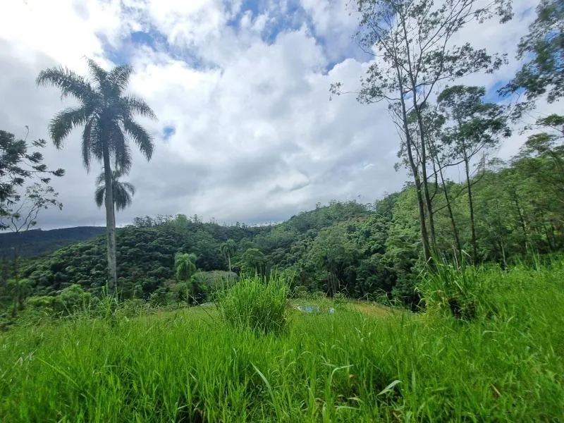 Sítio à venda de 11 ha em São Lourenço da Serra, SP, Brasil