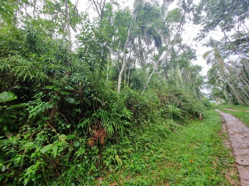 Sítio à venda de 11 ha em São Lourenço da Serra, SP, Brasil