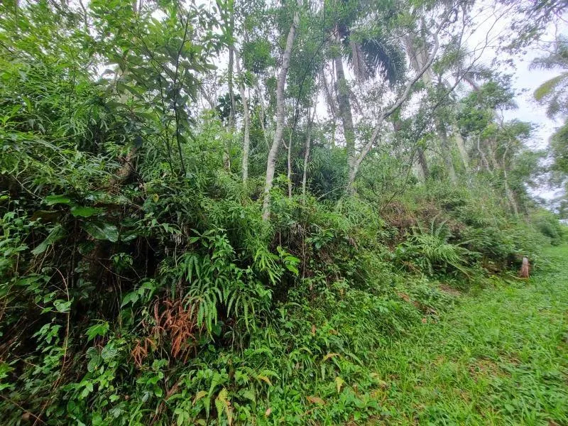 Sítio à venda de 11 ha em São Lourenço da Serra, SP, Brasil