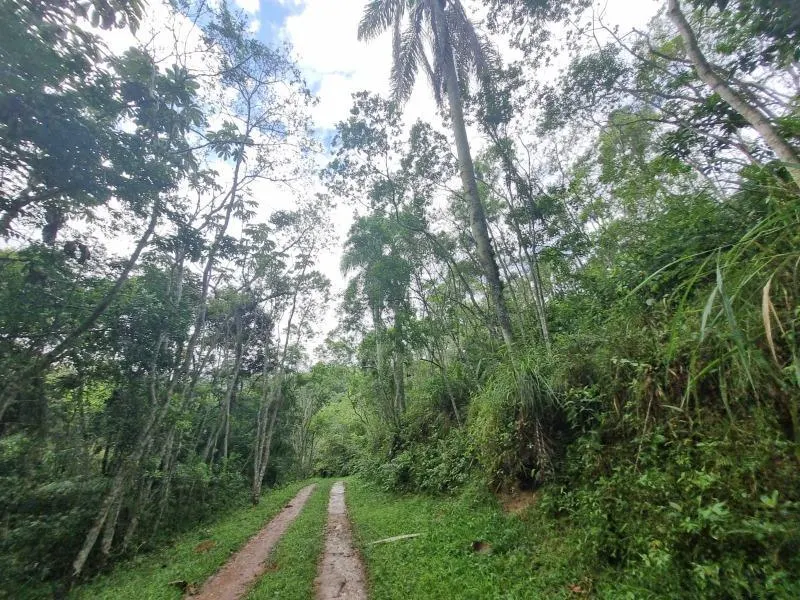 Sítio à venda de 11 ha em São Lourenço da Serra, SP, Brasil
