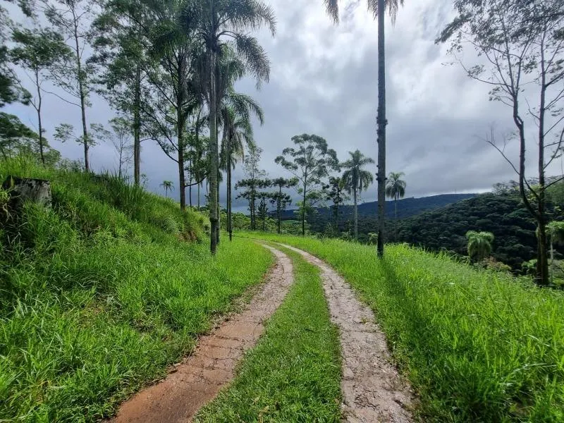 Sítio à venda de 11 ha em São Lourenço da Serra, SP, Brasil