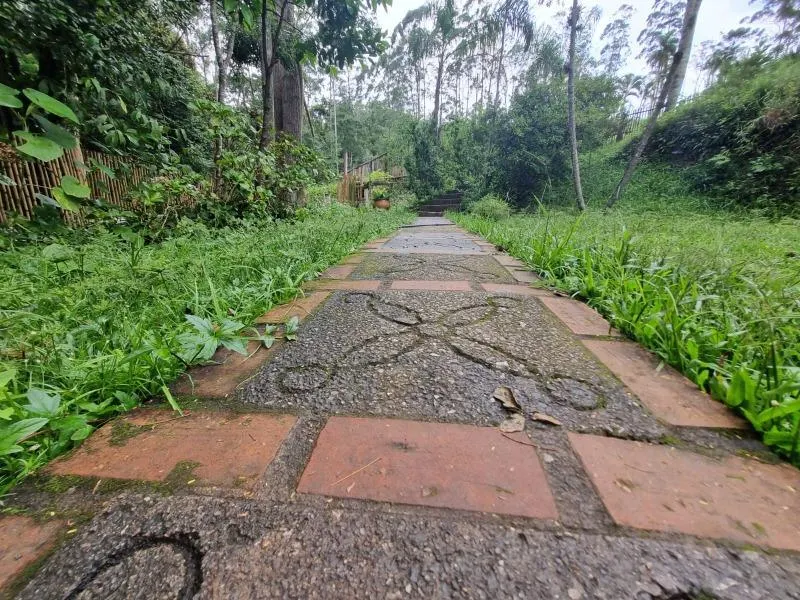 Sítio à venda de 11 ha em São Lourenço da Serra, SP, Brasil