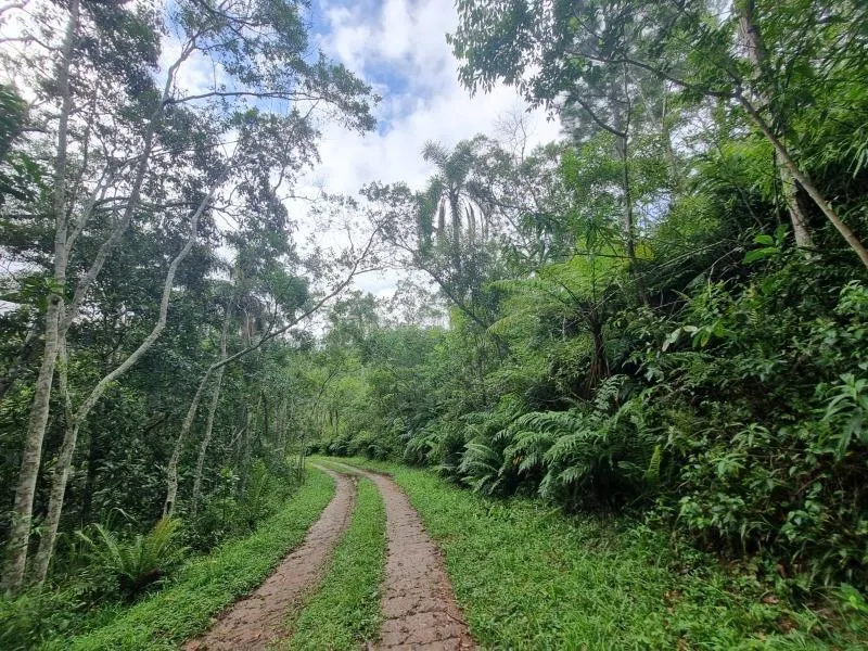 Sítio à venda de 11 ha em São Lourenço da Serra, SP, Brasil