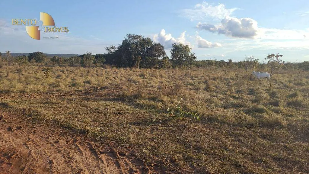Fazenda à venda e para Arrendar de 2.894 ha em Acorizal, MT, Brasil