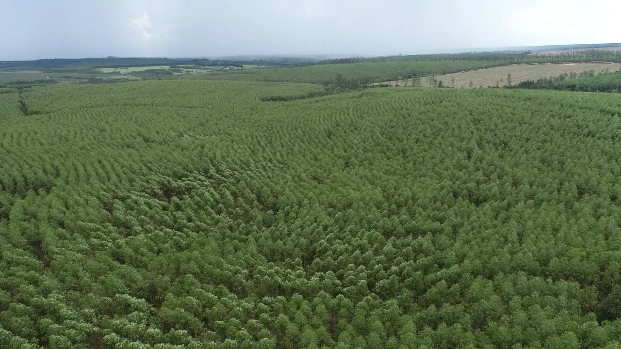 Fazenda à venda de 239 ha em Pardinho, SP, Brasil
