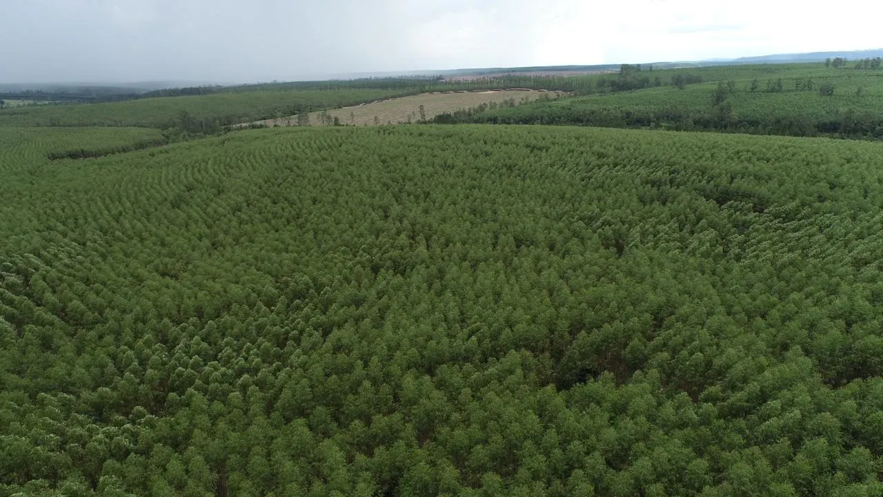 Fazenda à venda de 239 ha em Pardinho, SP, Brasil