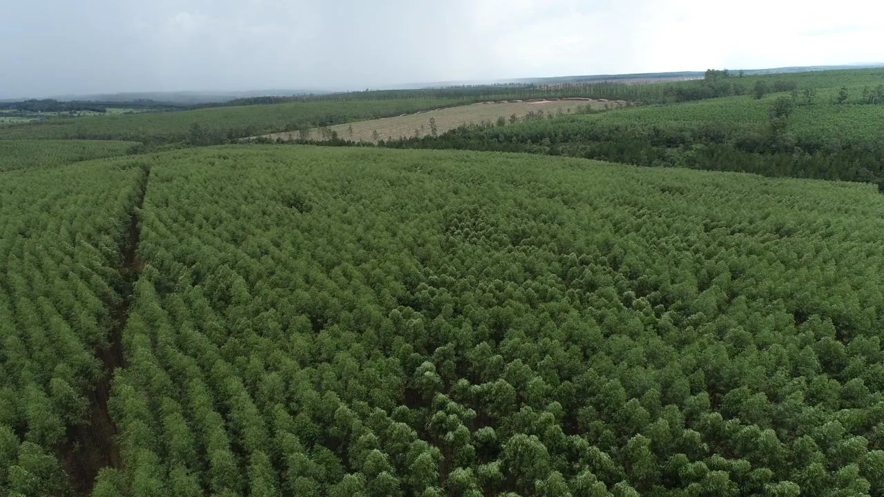 Fazenda à venda de 239 ha em Pardinho, SP, Brasil