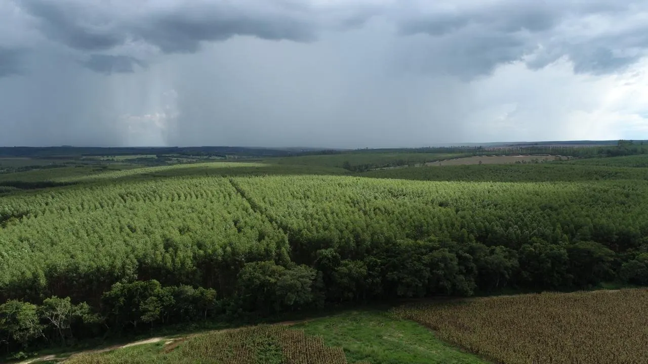 Fazenda à venda de 239 ha em Pardinho, SP, Brasil