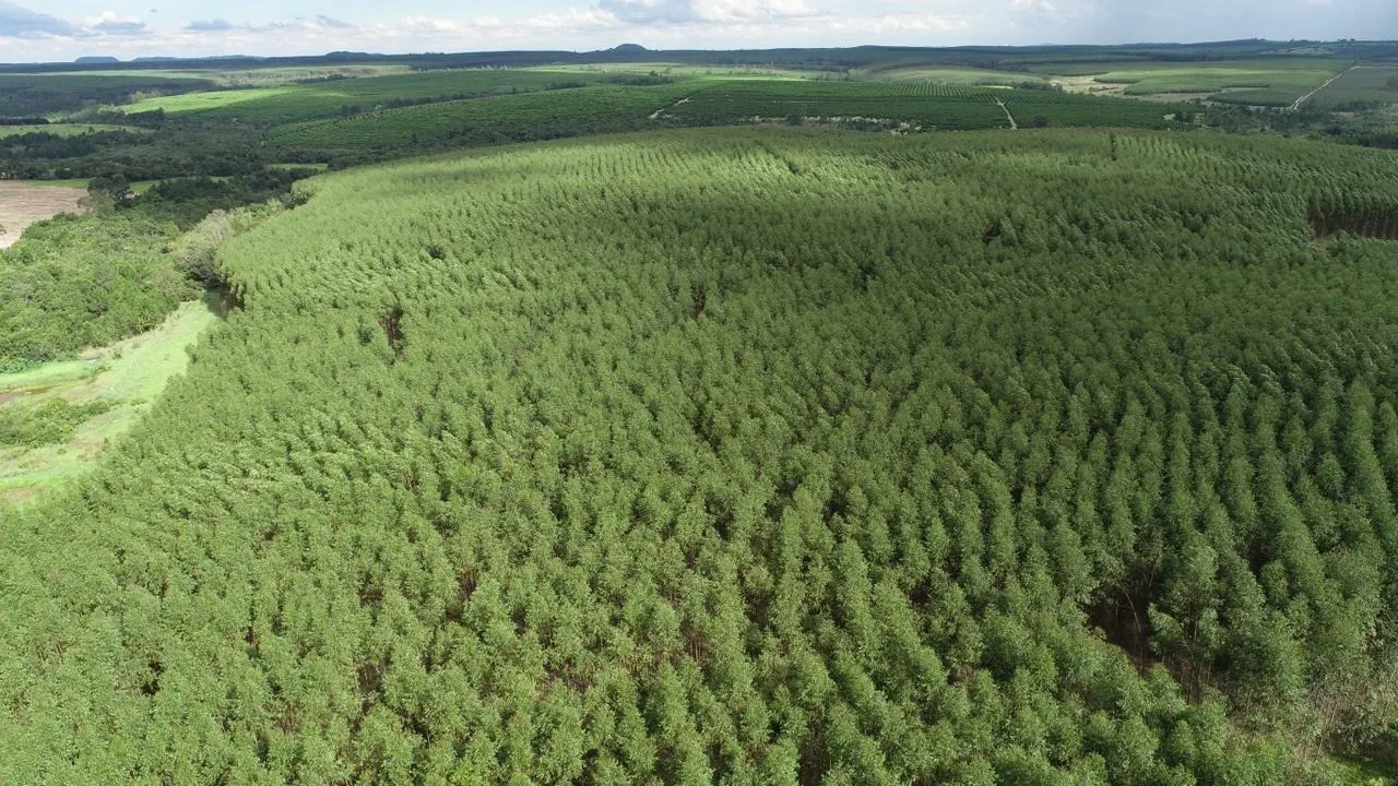 Fazenda à venda de 239 ha em Pardinho, SP, Brasil
