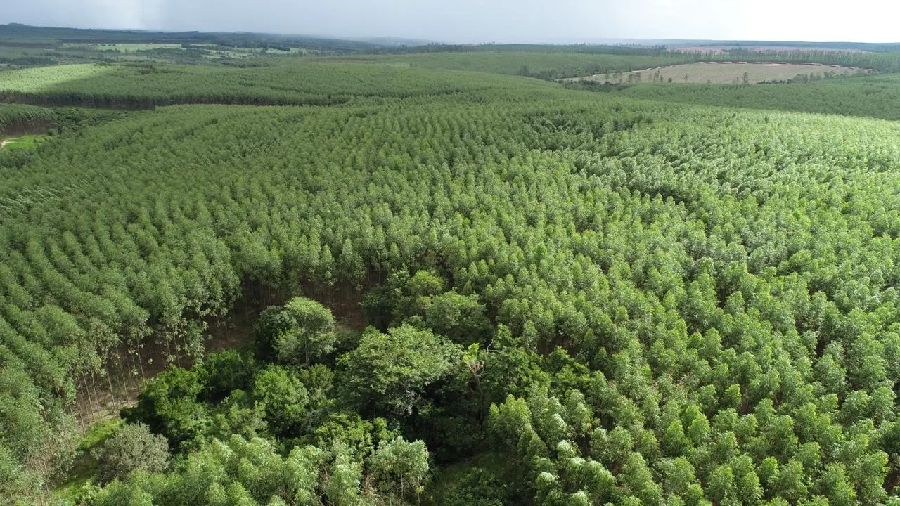 Fazenda à venda de 239 ha em Pardinho, SP, Brasil