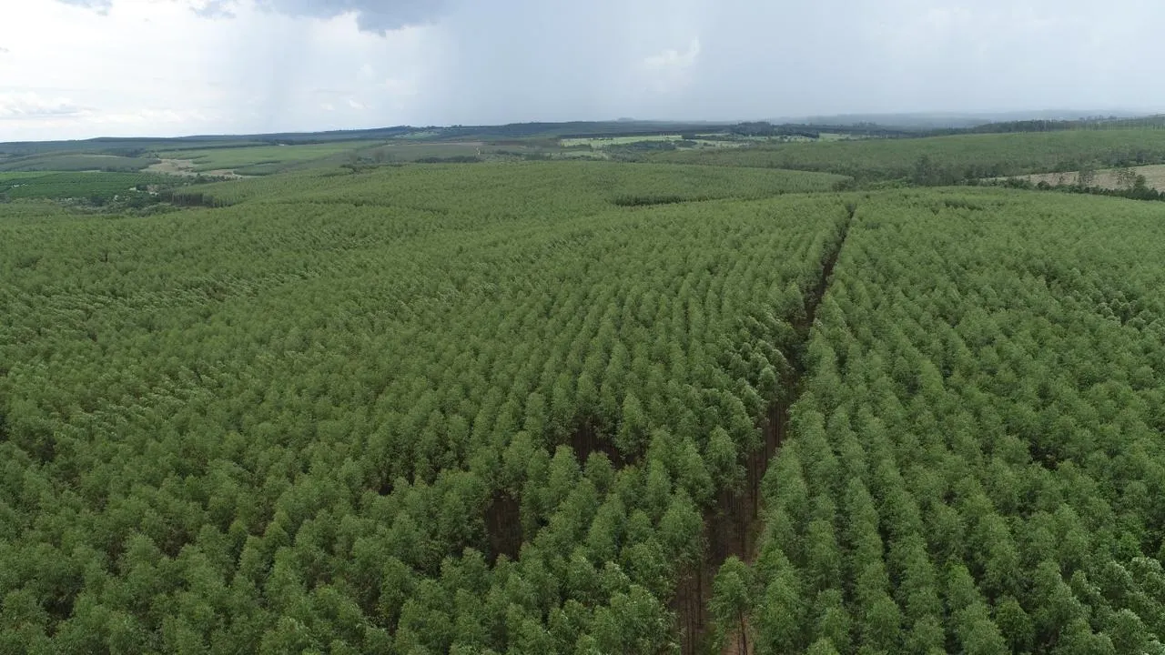 Fazenda à venda de 239 ha em Pardinho, SP, Brasil