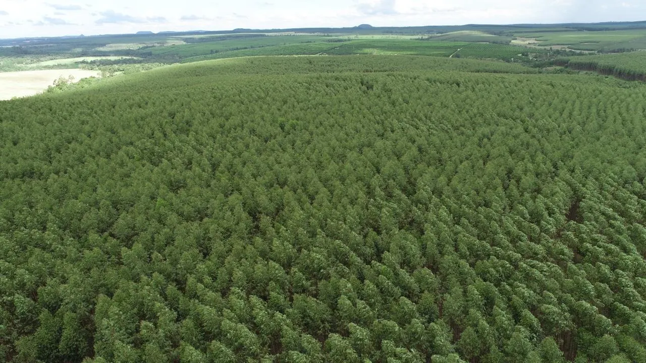 Fazenda à venda de 239 ha em Pardinho, SP, Brasil