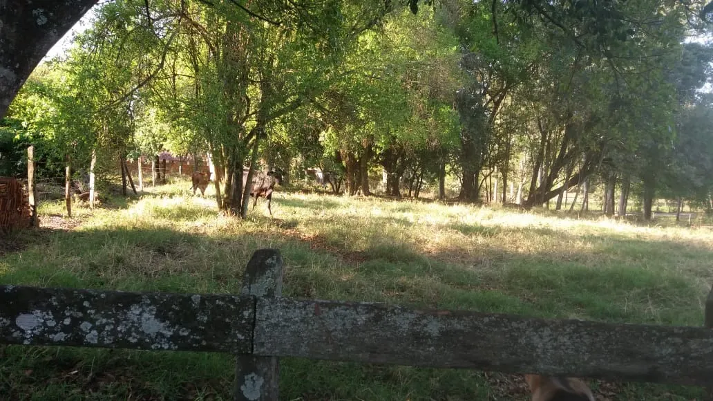 Chácara à venda de 2 ha em Angatuba, SP, Brasil