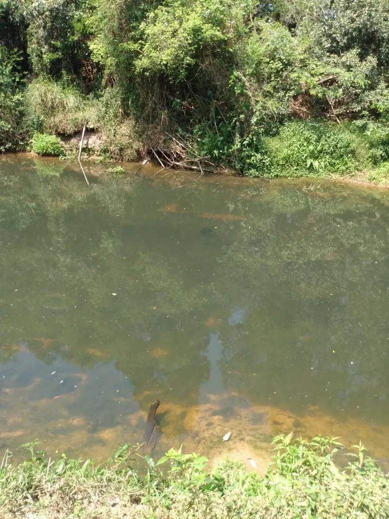 Chácara à venda de 2 ha em Angatuba, SP, Brasil