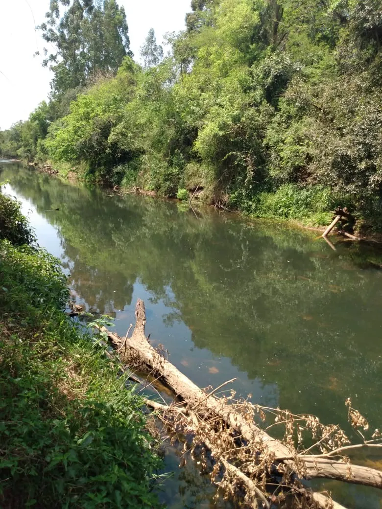 Chácara à venda de 2 ha em Angatuba, SP, Brasil