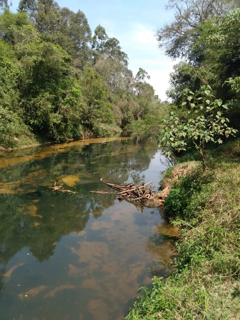 Chácara à venda de 2 ha em Angatuba, SP, Brasil