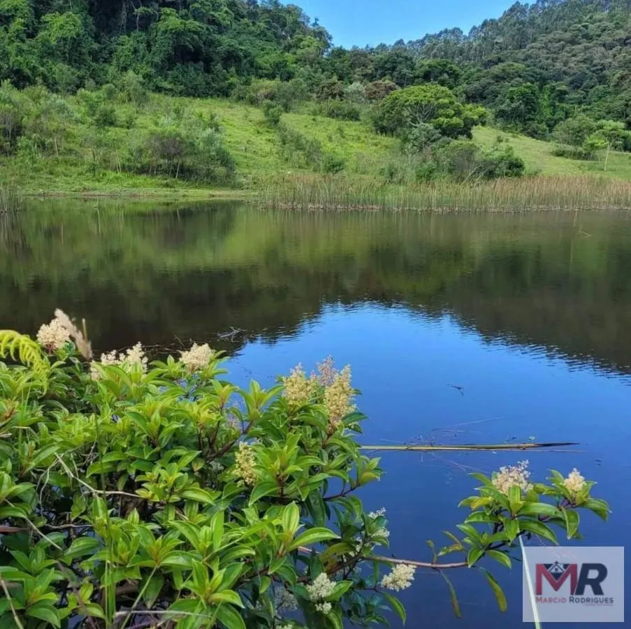 Sítio à venda de 73 ha em Toledo, MG, Brasil