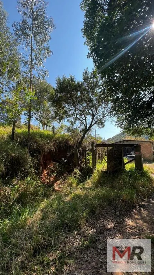 Sítio à venda de 73 ha em Toledo, MG, Brasil