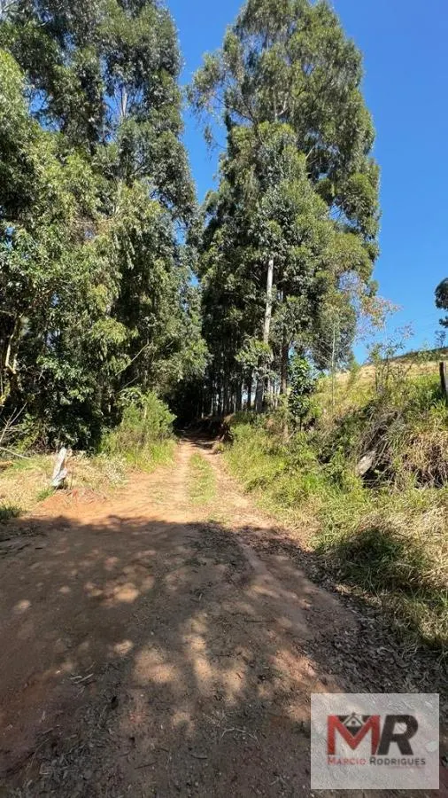Sítio à venda de 73 ha em Toledo, MG, Brasil