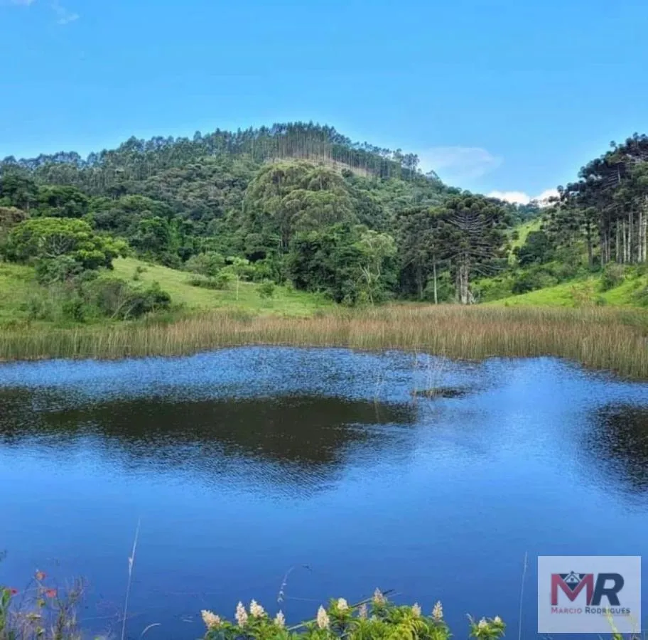 Sítio à venda de 73 ha em Toledo, MG, Brasil
