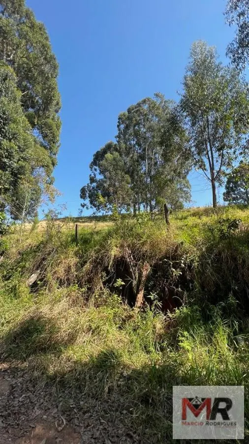 Sítio à venda de 73 ha em Toledo, MG, Brasil