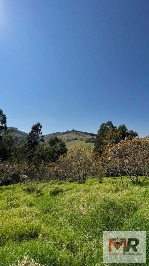 Sítio à venda de 73 ha em Toledo, MG, Brasil