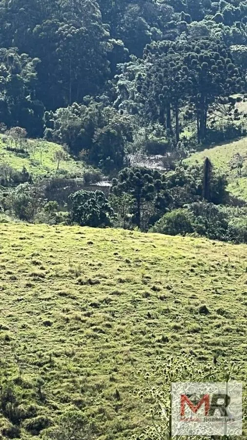Sítio à venda de 73 ha em Toledo, MG, Brasil