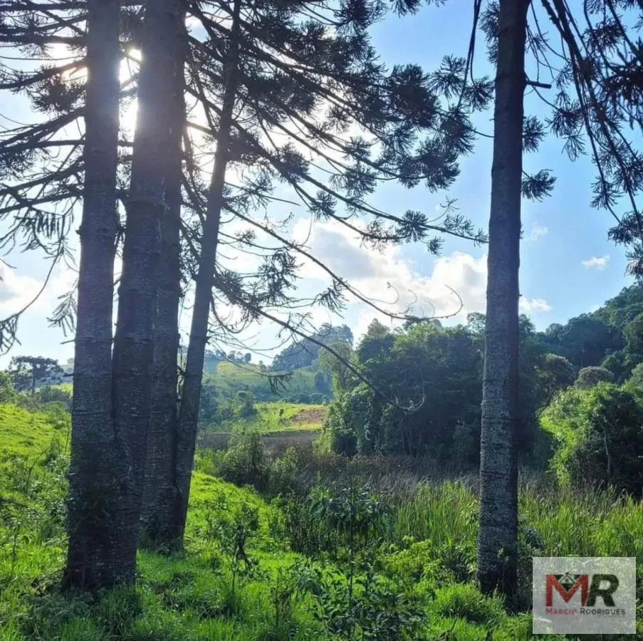Sítio à venda de 73 ha em Toledo, MG, Brasil