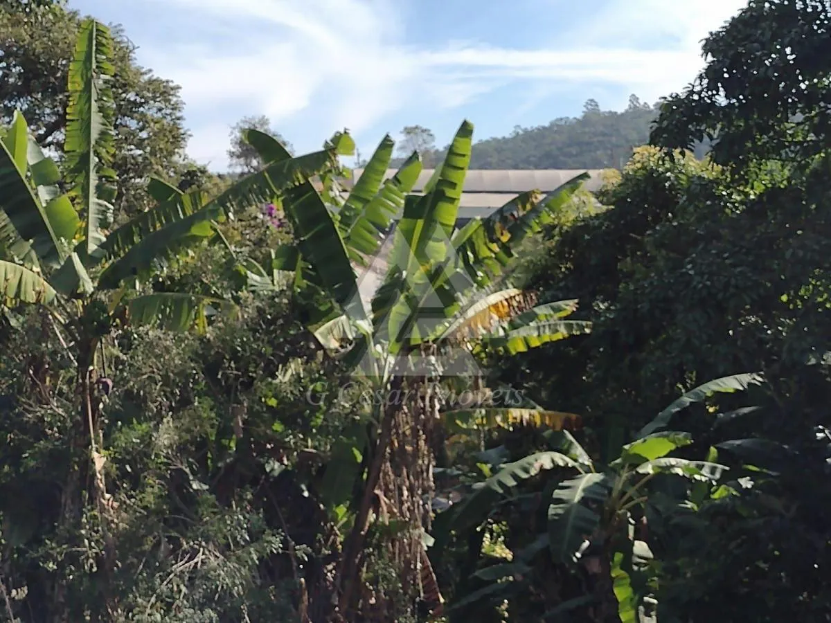 Chácara à venda de 1 ha em Piedade, SP, Brasil