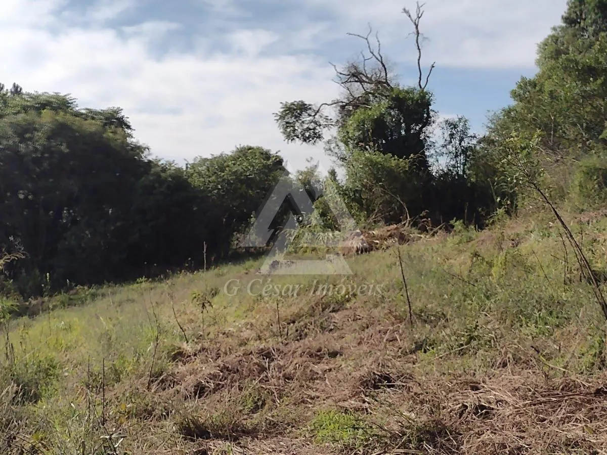 Chácara à venda de 1 ha em Piedade, SP, Brasil