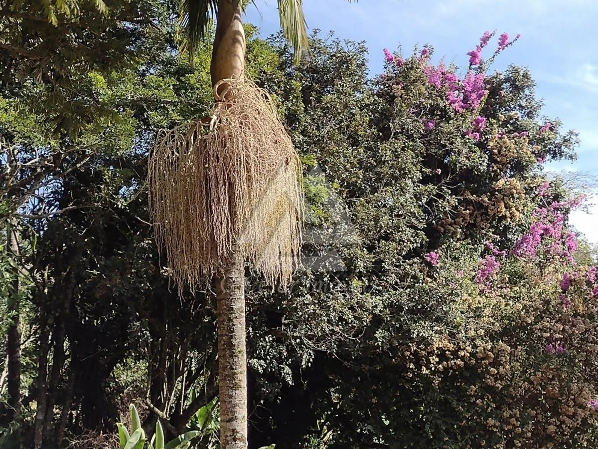 Chácara à venda de 1 ha em Piedade, SP, Brasil