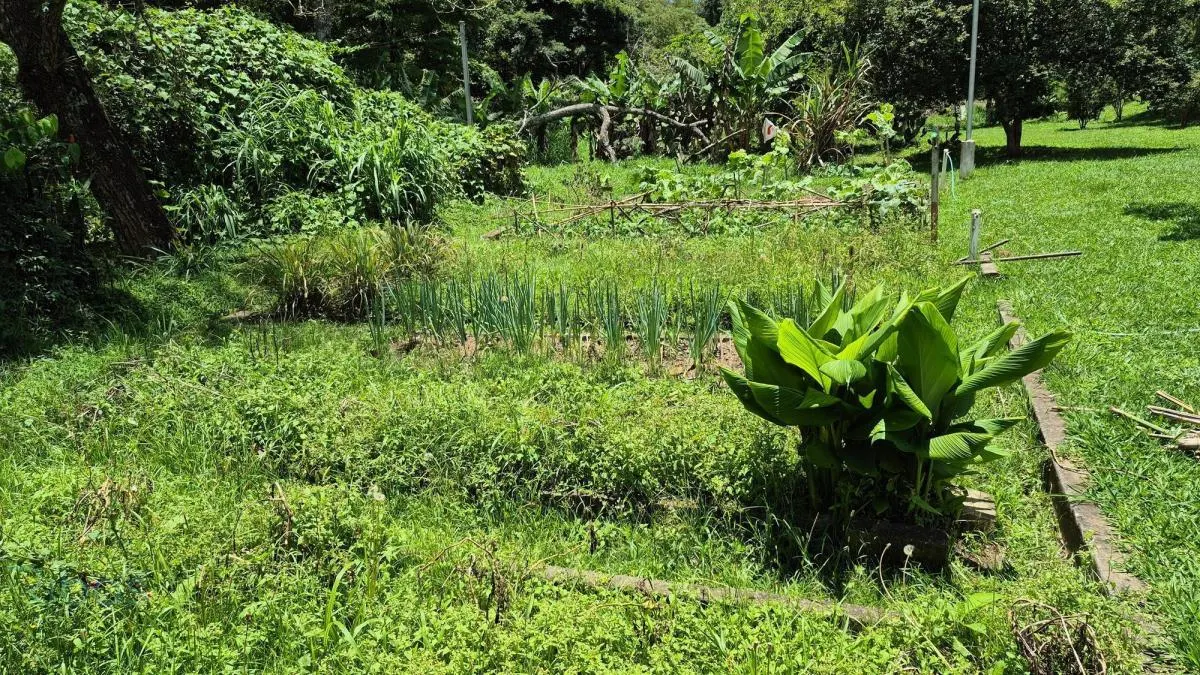 Chácara à venda de 2 ha em Atibaia, SP, Brasil