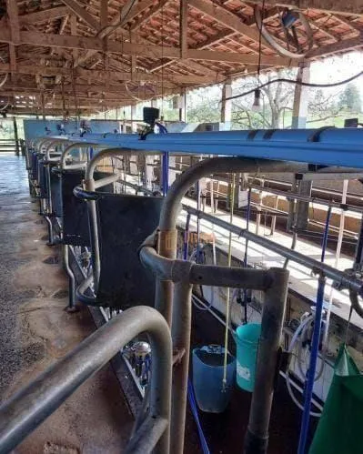Fazenda à venda de 800 ha em São Paulo, SP, Brasil