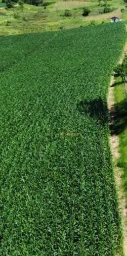 Fazenda à venda de 800 ha em São Paulo, SP, Brasil