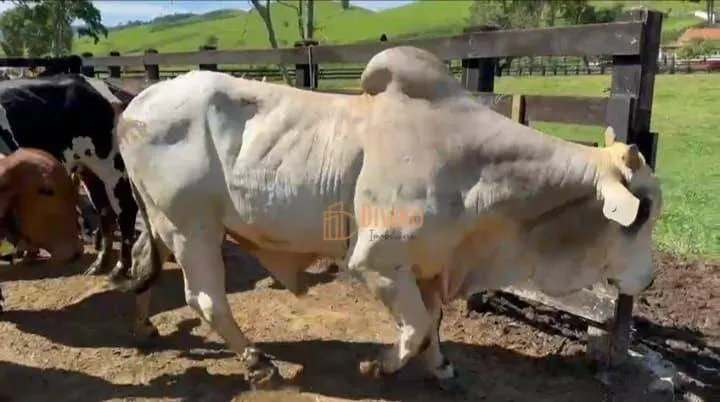 Fazenda à venda de 800 ha em São Paulo, SP, Brasil
