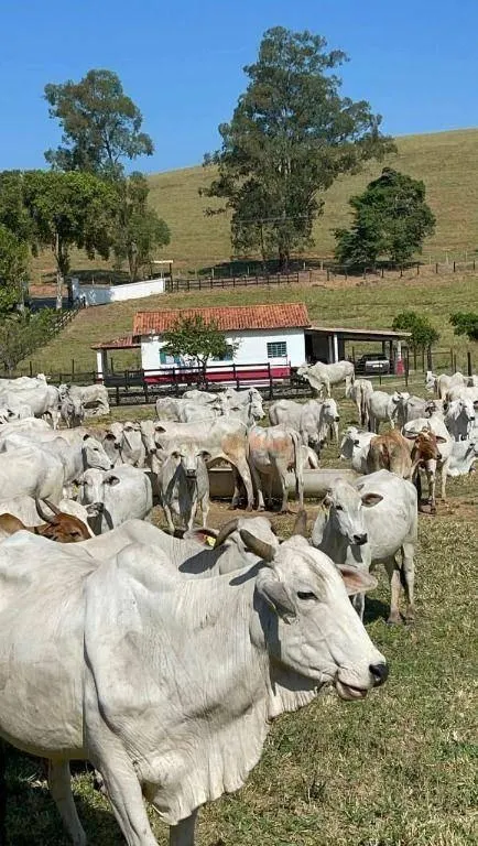 Fazenda à venda de 800 ha em São Paulo, SP, Brasil