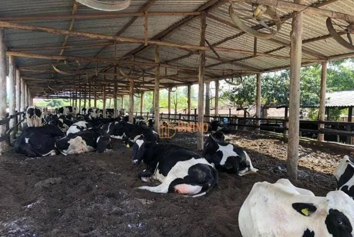 Fazenda à venda de 800 ha em São Paulo, SP, Brasil