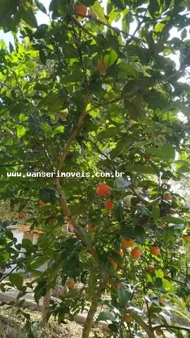 Sítio à venda de 3 ha em Paraibuna, SP, Brasil