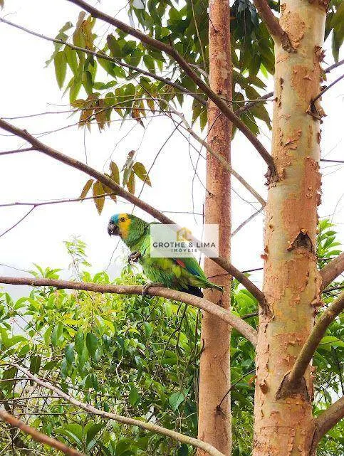 Small farm for sale of 1,500 m² in Natividade da Serra, SP, Brazil