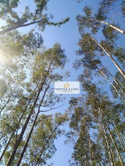 Small farm for sale of 1,500 m² in Natividade da Serra, SP, Brazil