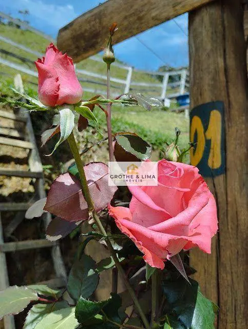 Small farm for sale of 1,500 m² in Natividade da Serra, SP, Brazil