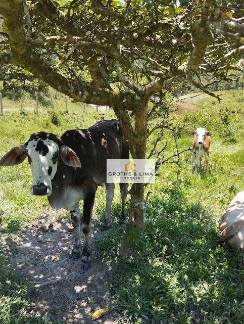Small farm for sale of 1,500 m² in Natividade da Serra, SP, Brazil