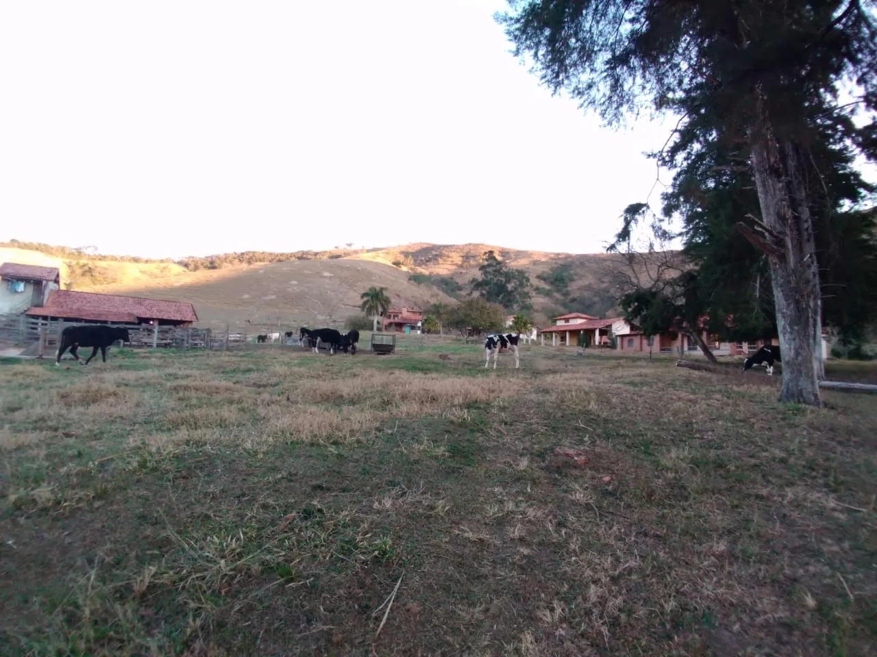 Sítio à venda de 48 ha em Cunha, SP, Brasil