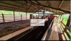 Fazenda à venda de 1.026 ha em Araguaína, TO, Brasil
