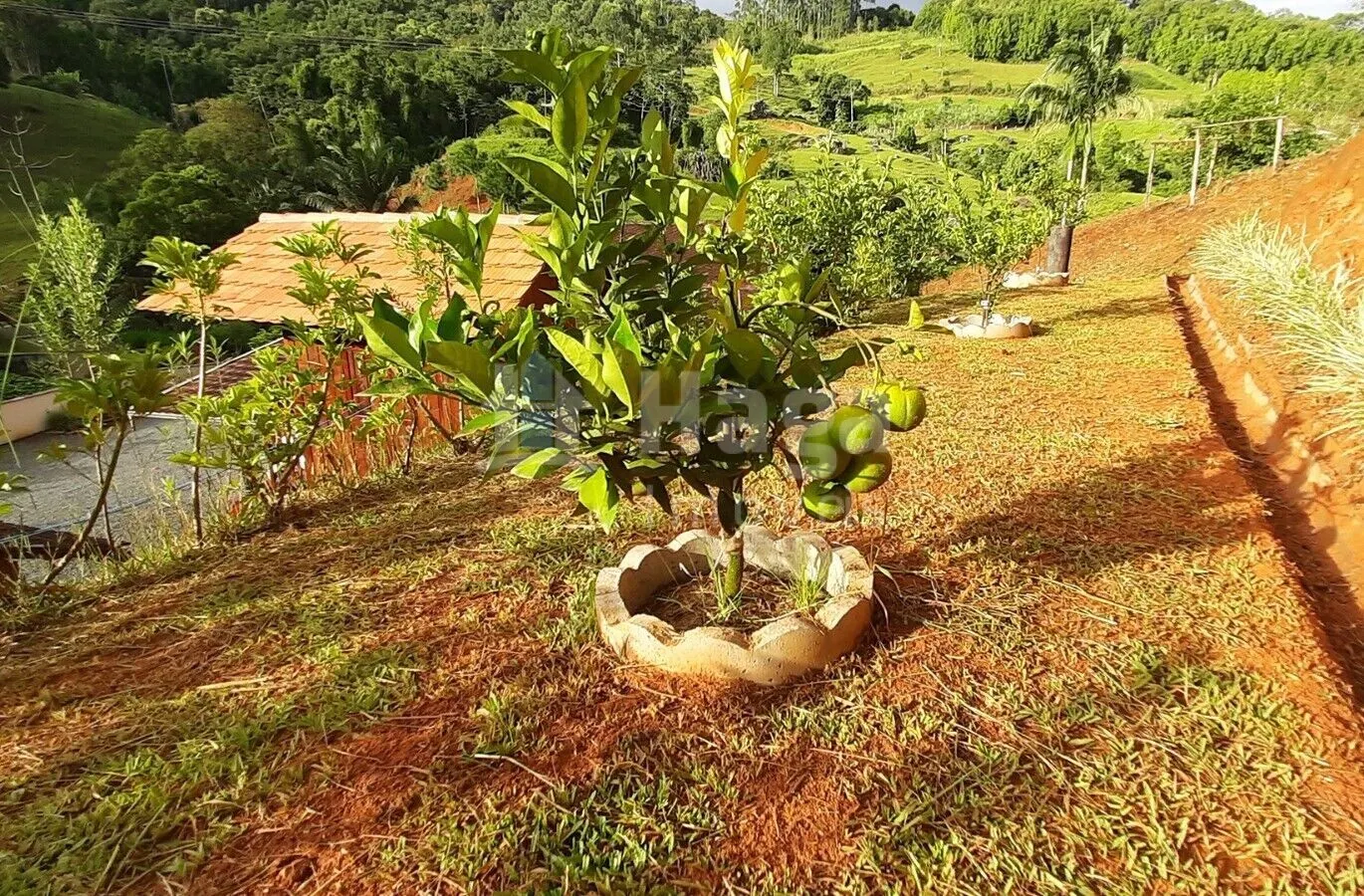 Fazenda à venda de 2 ha em Pomerode, SC, Brasil