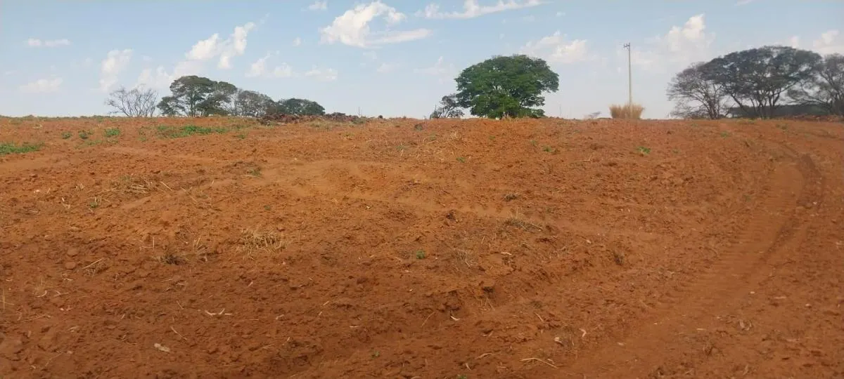 Fazenda à venda de 140 ha em Bauru, SP, Brasil