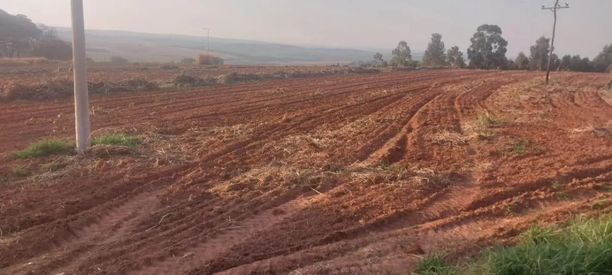 Fazenda à venda de 140 ha em Bauru, SP, Brasil