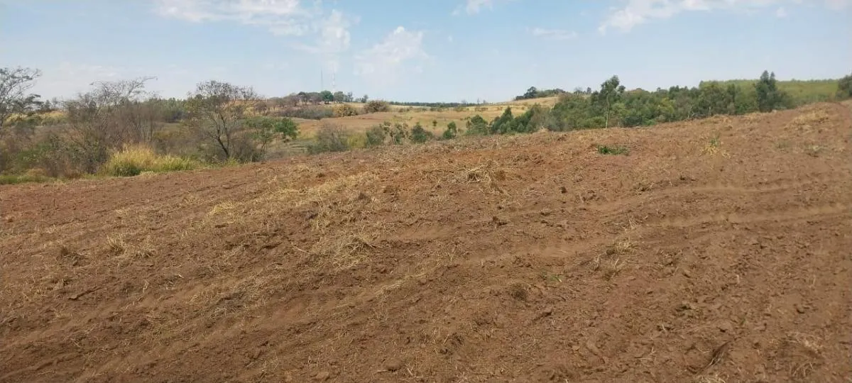 Fazenda à venda de 140 ha em Bauru, SP, Brasil
