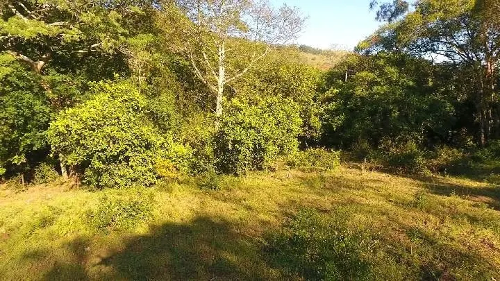 Sítio à venda de 6 ha em Santo Antônio da Patrulha, RS, Brasil