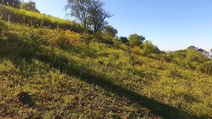 Sítio à venda de 6 ha em Santo Antônio da Patrulha, RS, Brasil